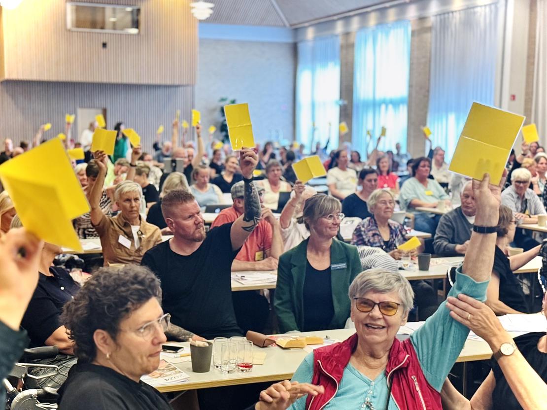 Medlemmer i gang med at stemme på Landsmødet 2025