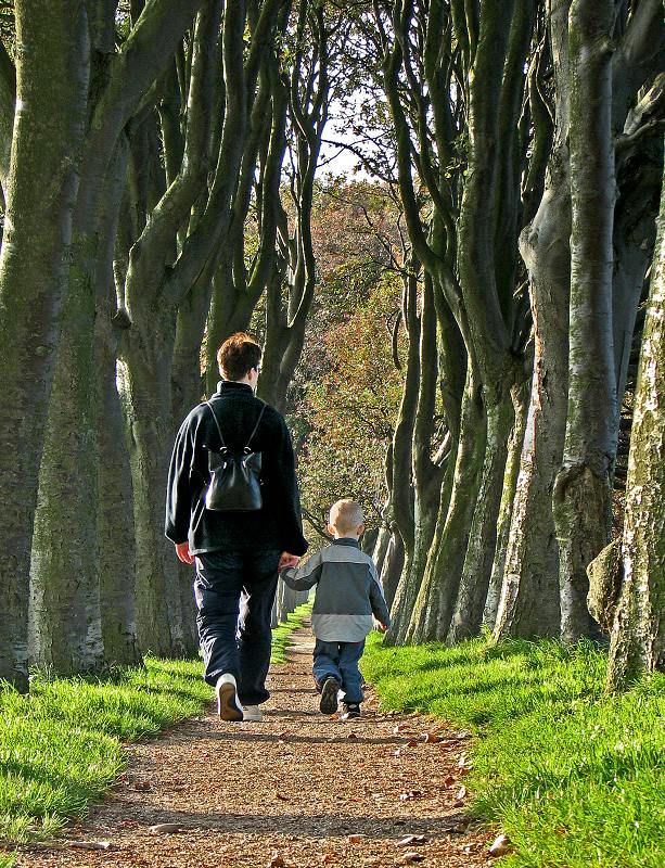 Gåtur i skoven - voksen og barn