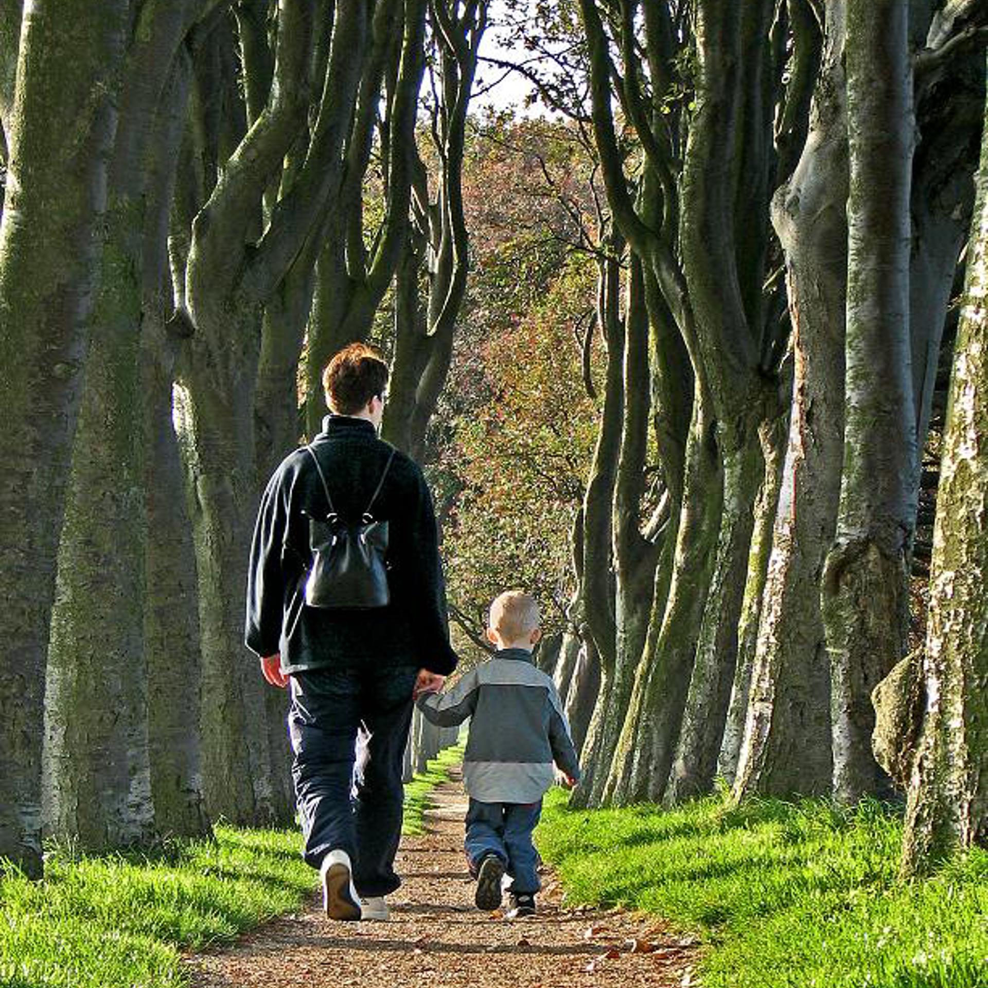 Gåtur i skoven - voksen og barn